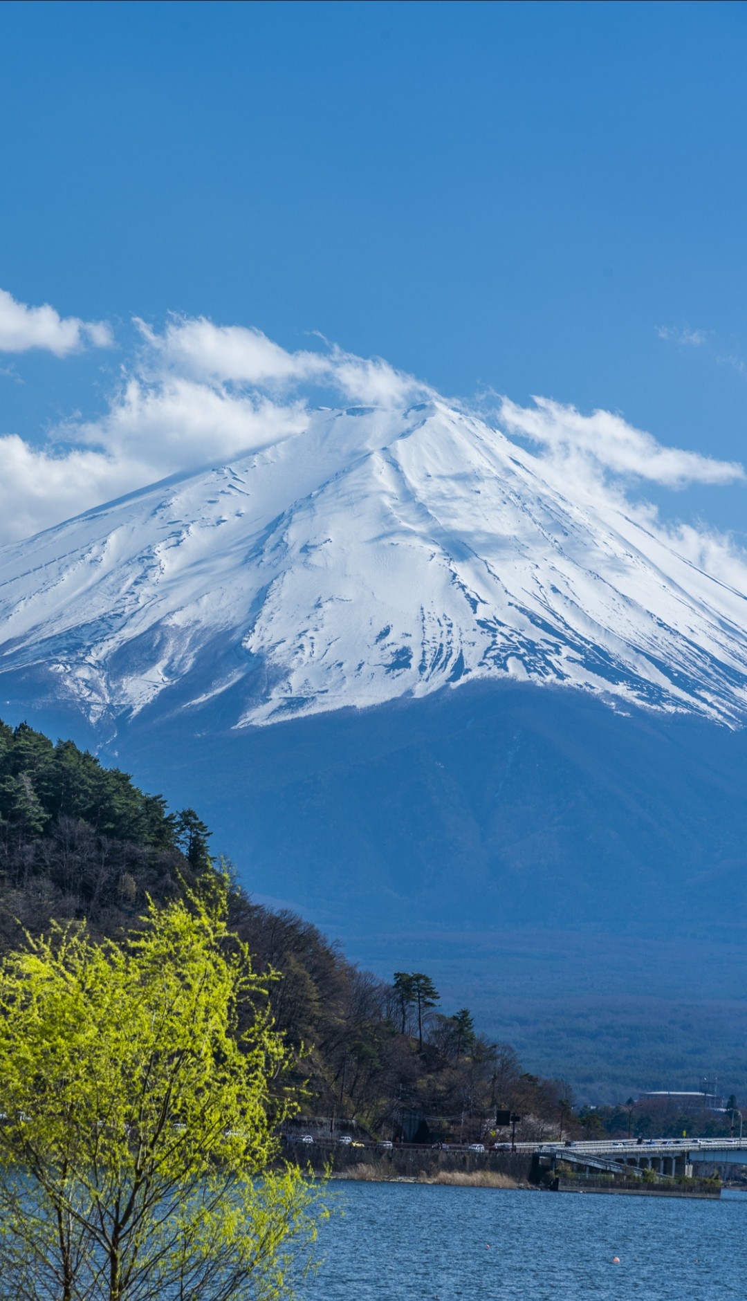 原来富士山是私人财产